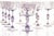 Cyclamen Murano Wine Glass from Cenedese, 1950s, Set of 12 For Sale - Image 10 of 18