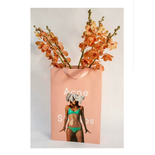 Dina Broadhurst Bagged It / Acne Print For Sale