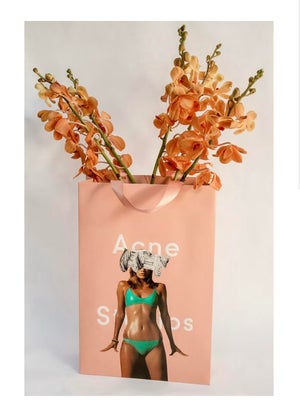 Dina Broadhurst Bagged It / Acne Print