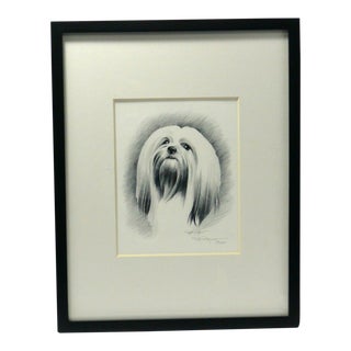 Contemporary Lhasa Apso Dog Pencil Portrait, Framed For Sale