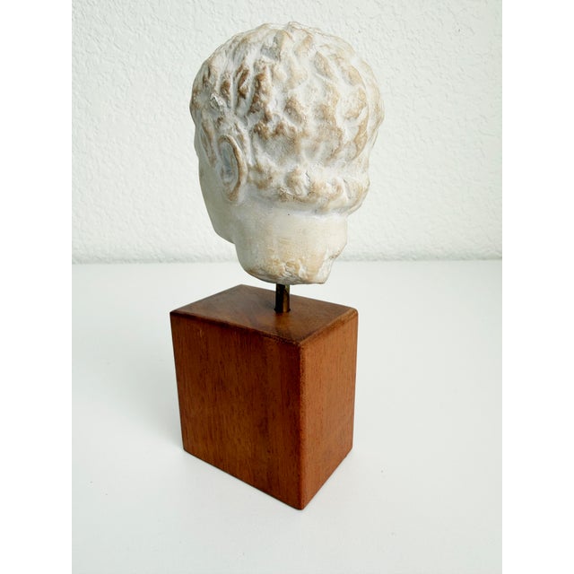 Vintage Bust of Roman Emperor Augustus on Wood Base For Sale In Sacramento - Image 6 of 9