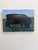 Folk Art “Sumba Dream” — Signed Folk Art Oil on Wood Panel, Black Sow in Flowering Meadow For Sale - Image 3 of 4