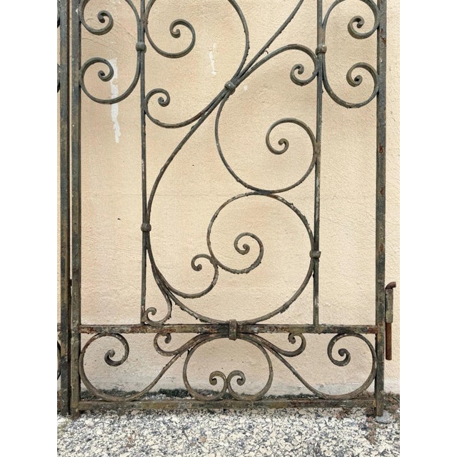 Antique Spanish Renaissance Scrolling Wrought Iron 57 X 45 Garden Entry Gate Set For Sale - Image 13 of 18