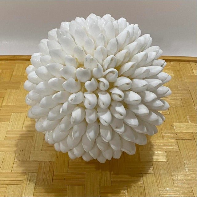 Vintage White Sea Shell Decorative Ball Width side to side 6” Part of a Rare Old Stock Find From a Cache of Shell Balls...