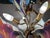 Wings of Freedom Chandelier in Murano Glass by Franco Luce, 1980s For Sale - Image 9 of 15