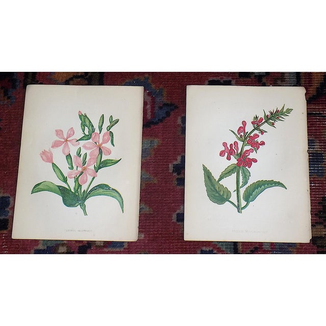 This set of twelve (12) authentic antique 19th century chromolithographs (each color laid in with a separate lithographic...