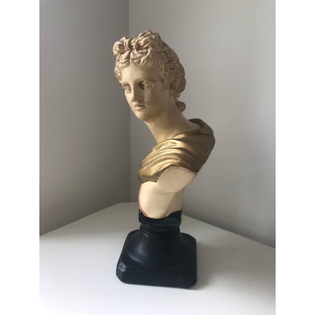 Cream Painted Greek Figurine Apollo Bust For Sale - Image 8 of 10