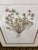 Lussier Lajoie Framing Botanical Prints, Set of Five For Sale - Image 4 of 12