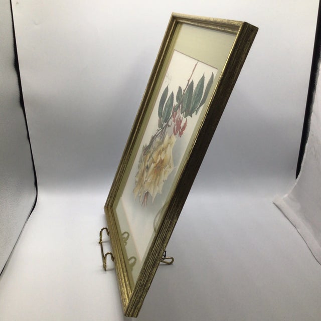 Paul De Longpre 1905 Framed Yellow Roses Lithograph Printed by the Grey Litho. Company, New York For Sale - Image 4 of 13
