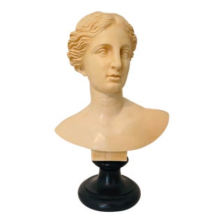 G. Ruggieri Bust of Venus For Sale
