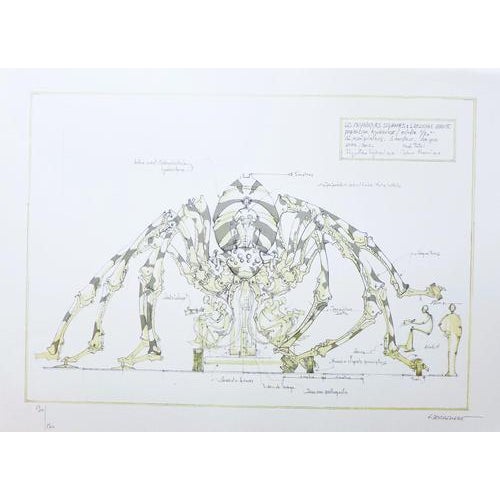 François Delaroziere, The Giant Spider, 2008, Lithograph For Sale - Image 4 of 4