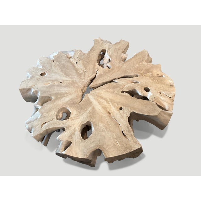 Andrianna Shamaris Bleached Teak Wood Organic Coffee Table For Sale - Image 14 of 18