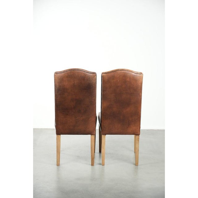 Vintage Dining Chairs in Sheepskin with a High Back, Set of 6 For Sale - Image 4 of 12