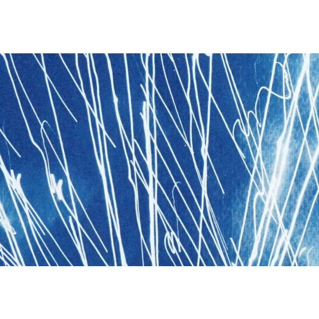 2020s 2020 "Firework Lights" Original Cyanotype Print on Watercolor Paper - a Pair For Sale - Image 5 of 10