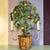 This is a Hollywood Regency era Italian tole wall sconce depicting a lemon tree in a bamboo pot. The iron sconce has two...