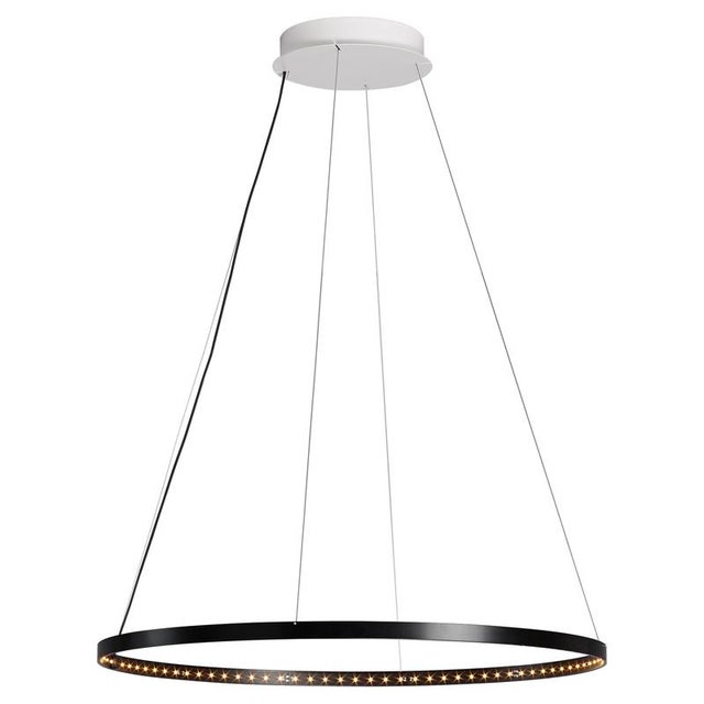 Black Circle 60 Pendant Lamp by Le Deun Luminaires For Sale - Image 9 of 9
