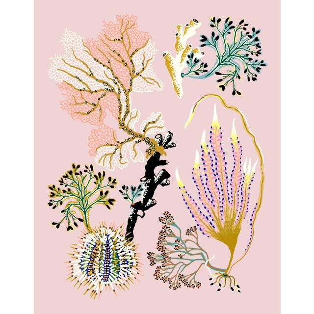 Contemporary Sea Garden Urchin, Giclee Print by Sarah Gordon For Sale - Image 3 of 3