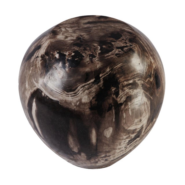 Organic Modern Petrified Wood Stool Accent Table For Sale