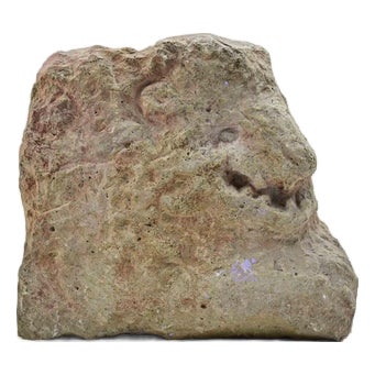 Sirio Pellegrini, Head of Animal, Sculpture, 1960s For Sale