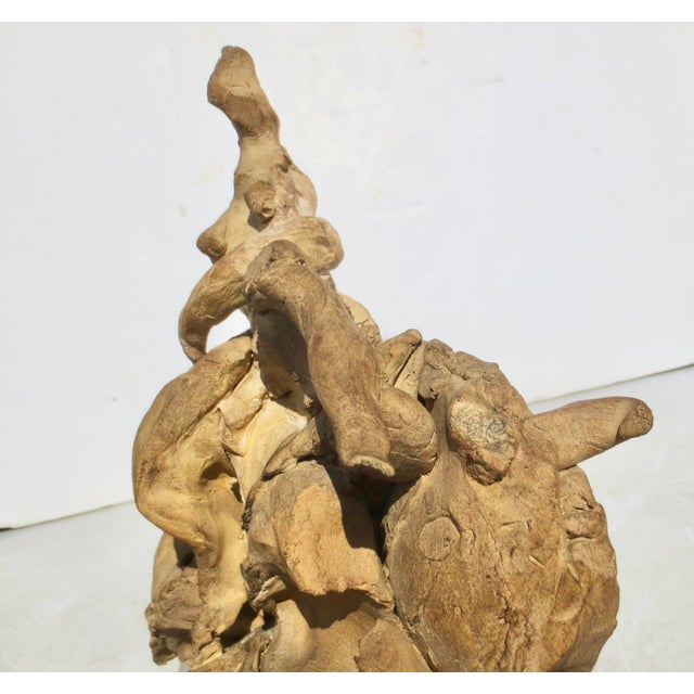 Richard Hess Terra Cotta Sculpture MCM Germany For Sale - Image 9 of 14