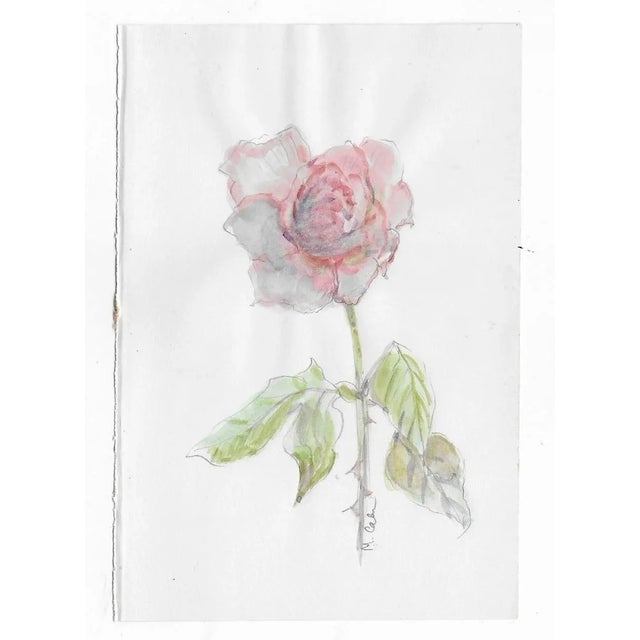 Watercolor by New York artist Myriam Cahn (1933-2018) of a single rose. Salmagundi Club named an award after her in 2019....