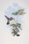 Victorian 19th Century Bird Print - One of 24 For Sale - Image 3 of 5