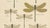 Paper Richard Tümpel, Calopteryx & Lestes Damselfly from Die Geradflügler, 1908, Lithograph For Sale - Image 7 of 10