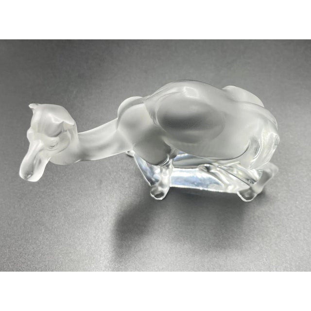 Glass Tanger Chameau Sculpture from Lalique, 1970s For Sale - Image 7 of 10
