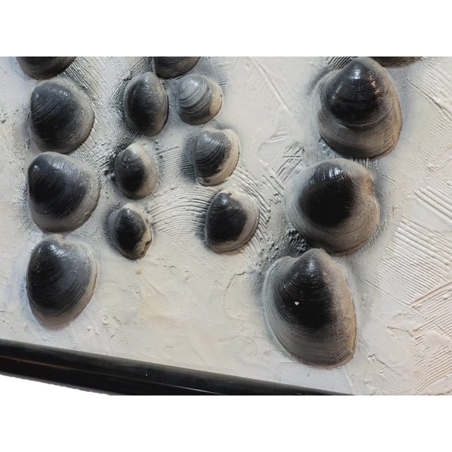 Shell Mid-Century Modern Shell Assemblage, Organic Abstraction Wall Sculpture For Sale - Image 7 of 10