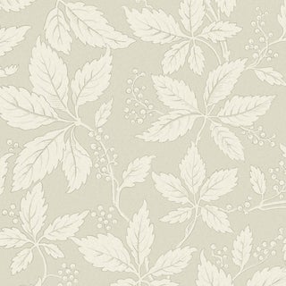 Sample - Borastapeter Vildvin Wallpaper in Leaf For Sale