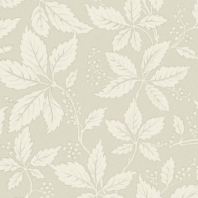 Sample - Borastapeter Vildvin Wallpaper in Leaf For Sale