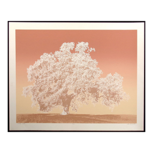 1980s Scott Nellis "White Oak" Signed Numbered Serigraph Fine Art, Make an Offer!