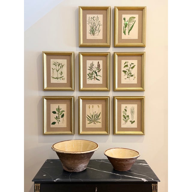 A distinguished and cohesive set of eight antique hand-colored botanical engravings, believed to be English in origin and...