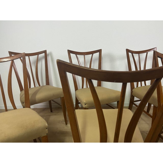 Wood Bentwood Chairs from Tempestini, 1950s, Set of 6 For Sale - Image 7 of 9