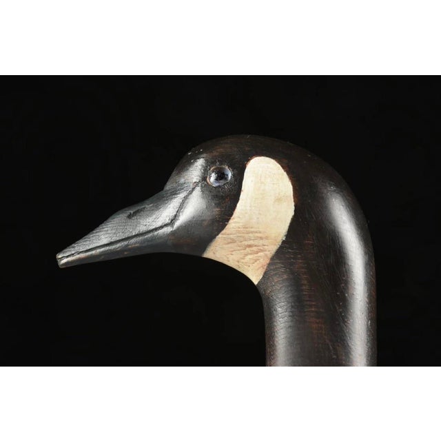 Hand Carved and Painted Canada Goose by H. W. Stewart, 14” X 8.5” For Sale - Image 4 of 10