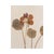 Vintage Swedish Herbarium - Nasturtium, Circa 1958 For Sale - Image 4 of 5