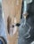 Italian Egyptian Revival Carved Wood Pharoah 2 Arm Sconces - A Pair For Sale - Image 10 of 10