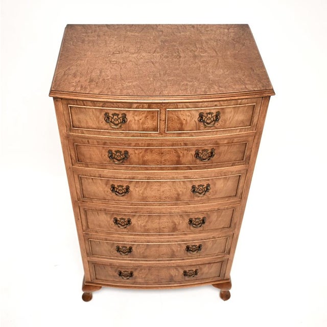 Bow Front Burr Walnut Chest of Drawers, 1930s For Sale - Image 6 of 11