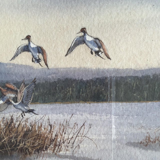 Original 1994 Signed Louis Weber Watercolor Pintails Ducks Baldwin Lake CA For Sale - Image 4 of 10