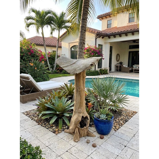 Artisanal Hand-Carved Teak Root Mushroom Sculpture For Sale - Image 11 of 12