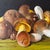 Still Life Oil Painting of Mushrooms by Italian Artist Angelo Garofalo For Sale In New York - Image 6 of 12