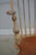 Wood Set of Six Benchmade Windsor Dining Chairs For Sale - Image 7 of 18