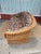 1960's Wicker Loveseat Sofa For Sale - Image 9 of 11