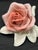 1930s Vintage Porcelain Roses by Karl Ens Volkstedt Germany Pre-Wwii - 5pc Set For Sale - Image 5 of 8