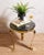 1960s Green and Brass Side Table Attributed to Arturo Pani For Sale - Image 13 of 14