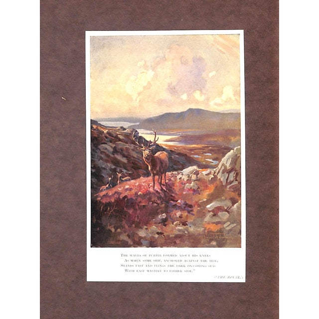 Paper "Over the Grass" 1925 Ogilvie, Will H. For Sale - Image 7 of 9