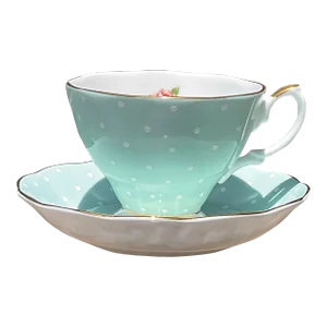 Royal Albert 1930’s Polka Rose 100 Years of Royal Albert