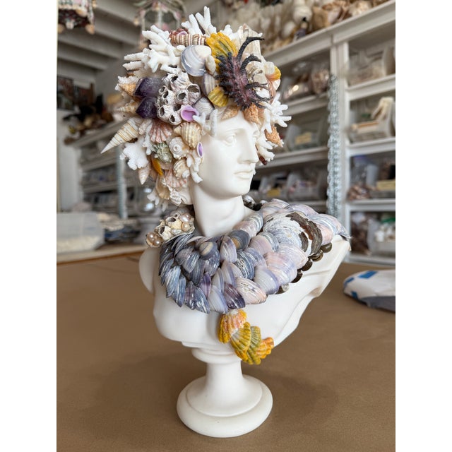 Glass CSS 14"h. Seashells Marble Bust of Apollo For Sale - Image 7 of 7