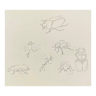 1967 Neil Meitzler Insect Studies Drawing For Sale