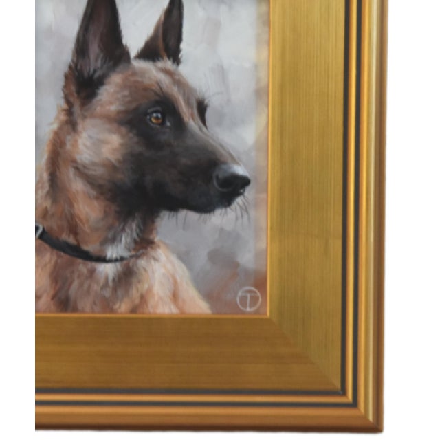 Belgian Shepherd dog portrait study, acrylic painting on artist panel. Included are the antiqued gold wood frame and...